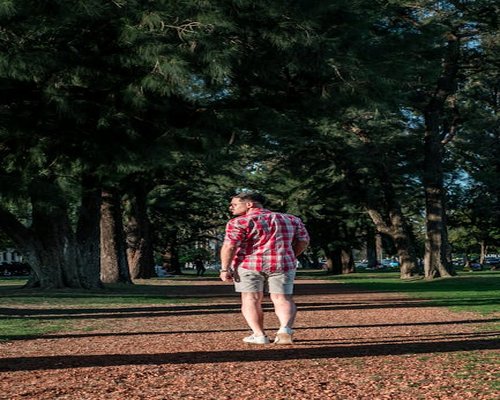 Familia caminando por un parque arbolado el fin de semana